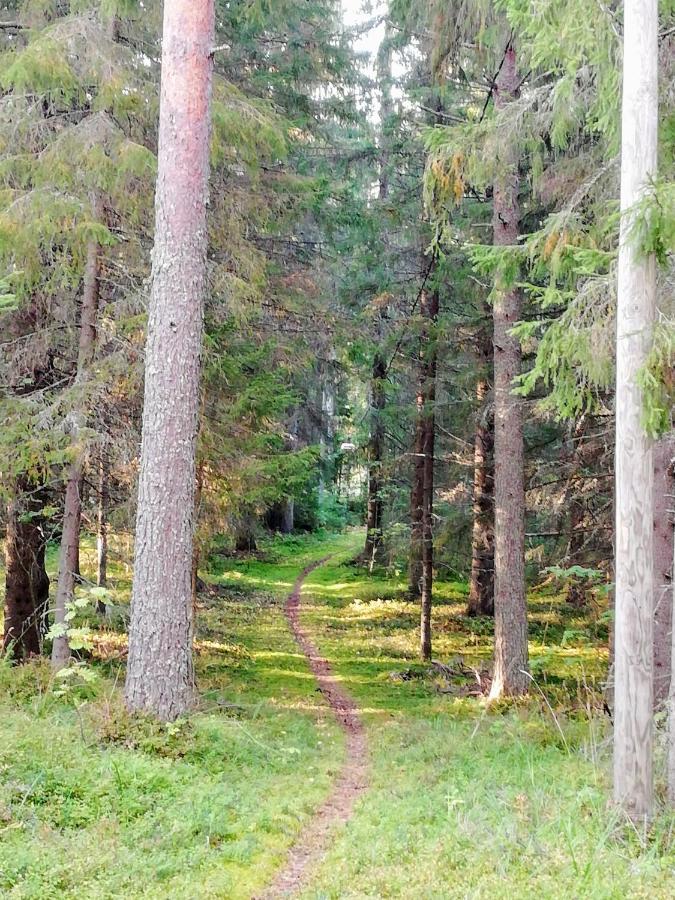 Good Life Homestay Ahmovaara Екстер'єр фото