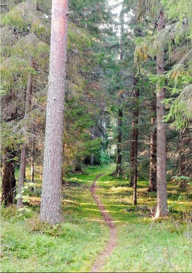 Good Life Homestay Ahmovaara Екстер'єр фото