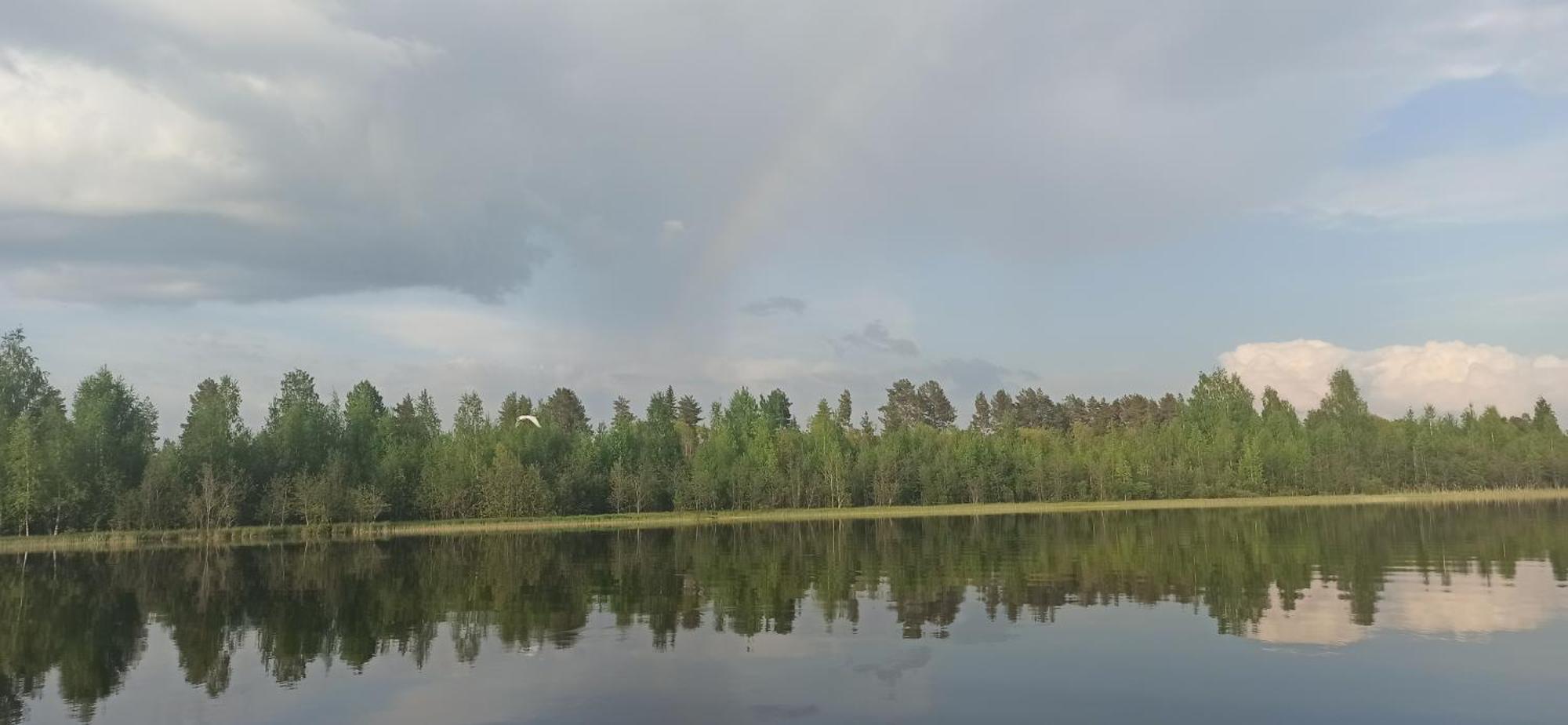 Good Life Homestay Ahmovaara Екстер'єр фото